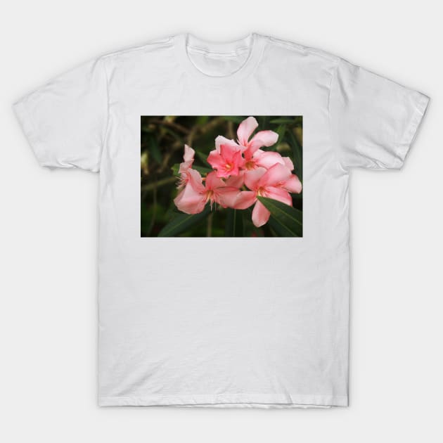 Flowers of the Dominican Republic Pink T-Shirt by BenjiRetroWave